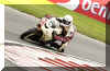 Aaron Zanotti Vivaldi Racing Snetterton.jpg (151918 bytes)